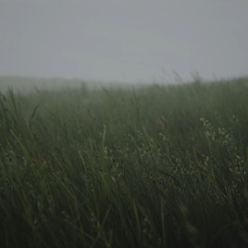 Featured image of post 第一个DI