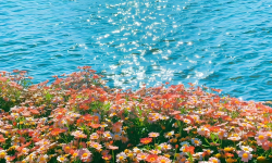 Featured image of post JDBC-入门到高级