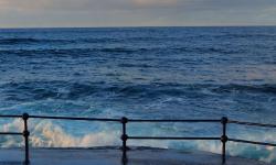 Featured image of post SSM日志